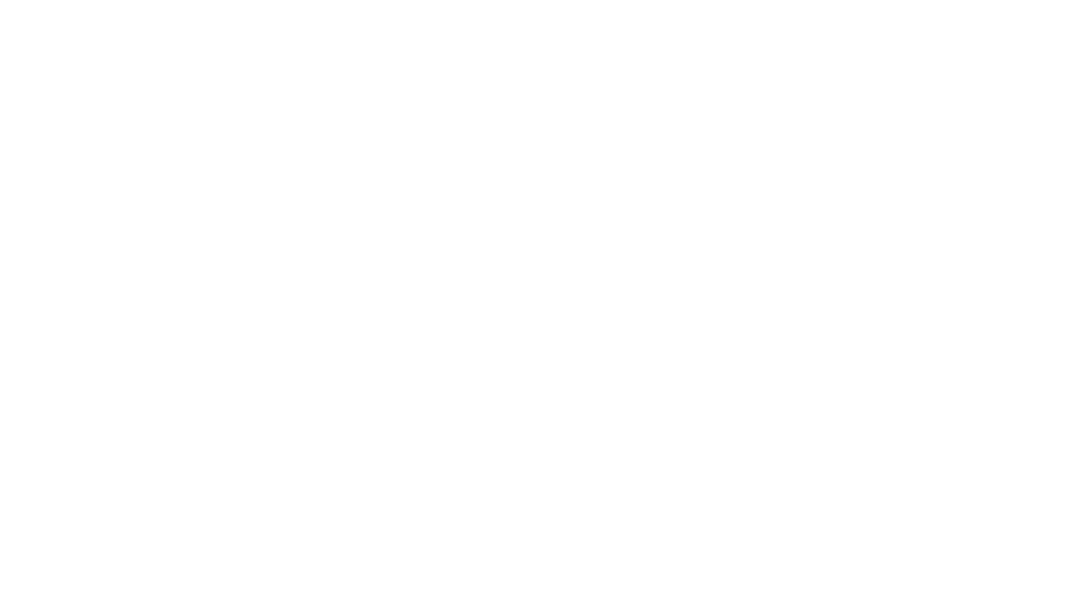 3.  Secondhand Dealers (Japanese operating license)